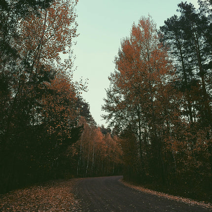 Collection image for: Herfsttrends