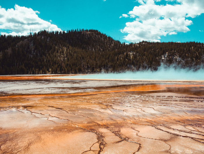 <h2>Handtassen</h2><h6><br/>De handtas is klassiek en krachtig – een vertrouwde vorm met eindeloze<br/>mogelijkheden. </h6><h6>Zij is vormvast, voelbaar en volledig zichtbaar.</h6><h6>Voor vrouwen die weten wat ze meedragen en dat met aandacht kiezen.</h6><h6>Een handtas is geen accessoire, maar een deel van je verhaal.</h6>