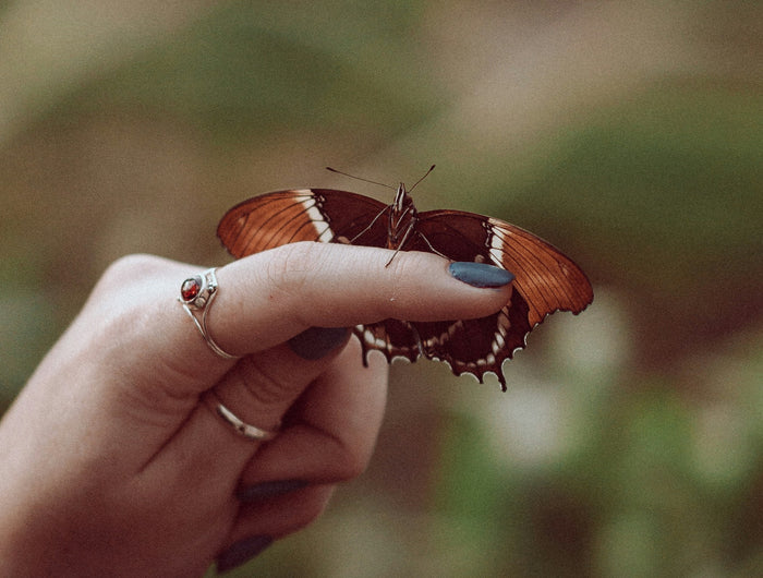 <h2>Dankjewel dat je hier bent</h2>