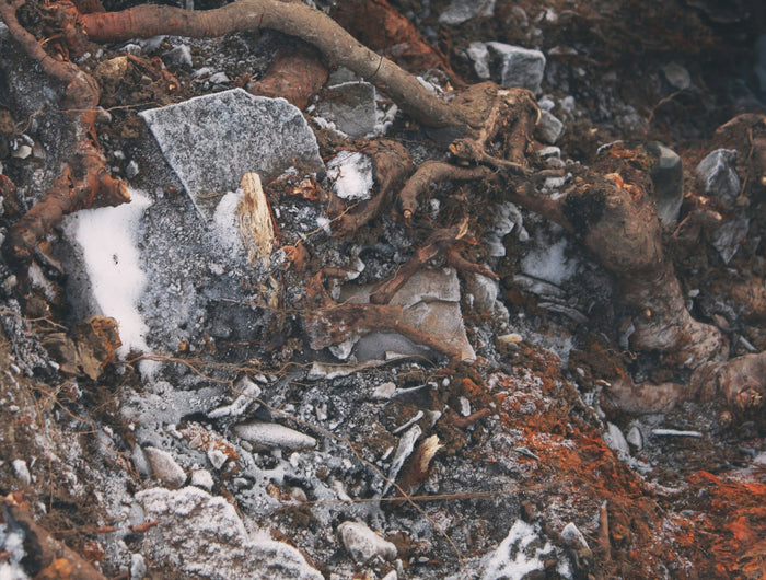 <h2>Schoudertassen</h2><h6><br/><strong>Schoudertassen</strong> bij Sanderoo zijn jouw stille metgezellen – praktisch én poëtisch.<br/><br/>Ze dragen moeiteloos jouw essentials, terwijl ze jouw bewegingen zacht begeleiden en je ruimte geven om te stralen.<br/><br/>Comfort, stijl en ritueel verweven zich in elke vorm, zodat jij vrij bent om te creëren, te reizen en te beleven.<br/><br/>Voor vrouwen die hun pad bewandelen met open hart en diepe intentie.</h6>